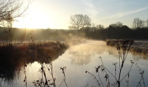 Learn HOW to watch wildlife: Fergus Beeley