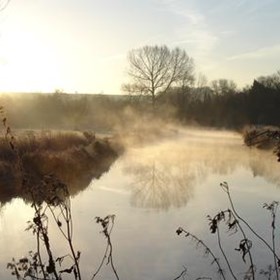 Learn HOW to watch wildlife: Fergus Beeley