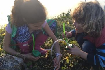 MINDFULNESS in Nature: Fergus Beeley