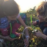 Портфолио Anderson Thomas