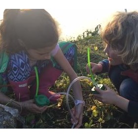 MINDFULNESS in Nature: Fergus Beeley